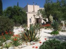 B&B on Organic Olive Farm near Monopoli, Puglia, Italy